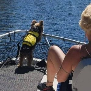 Meet your Posher, Rose